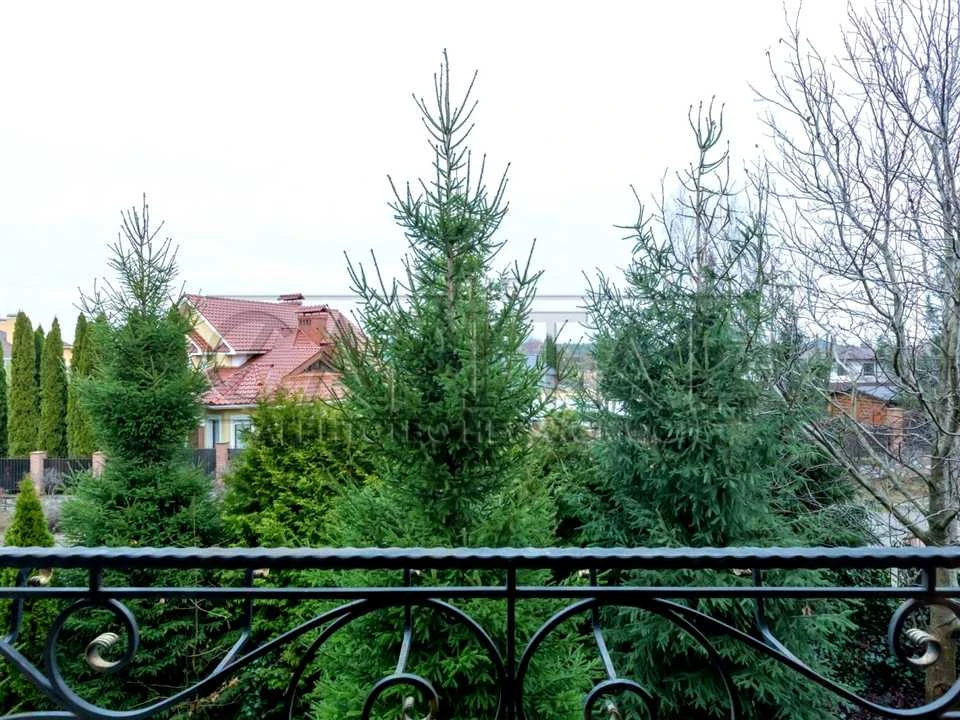 House. Kyiv, St. Dnystrovska