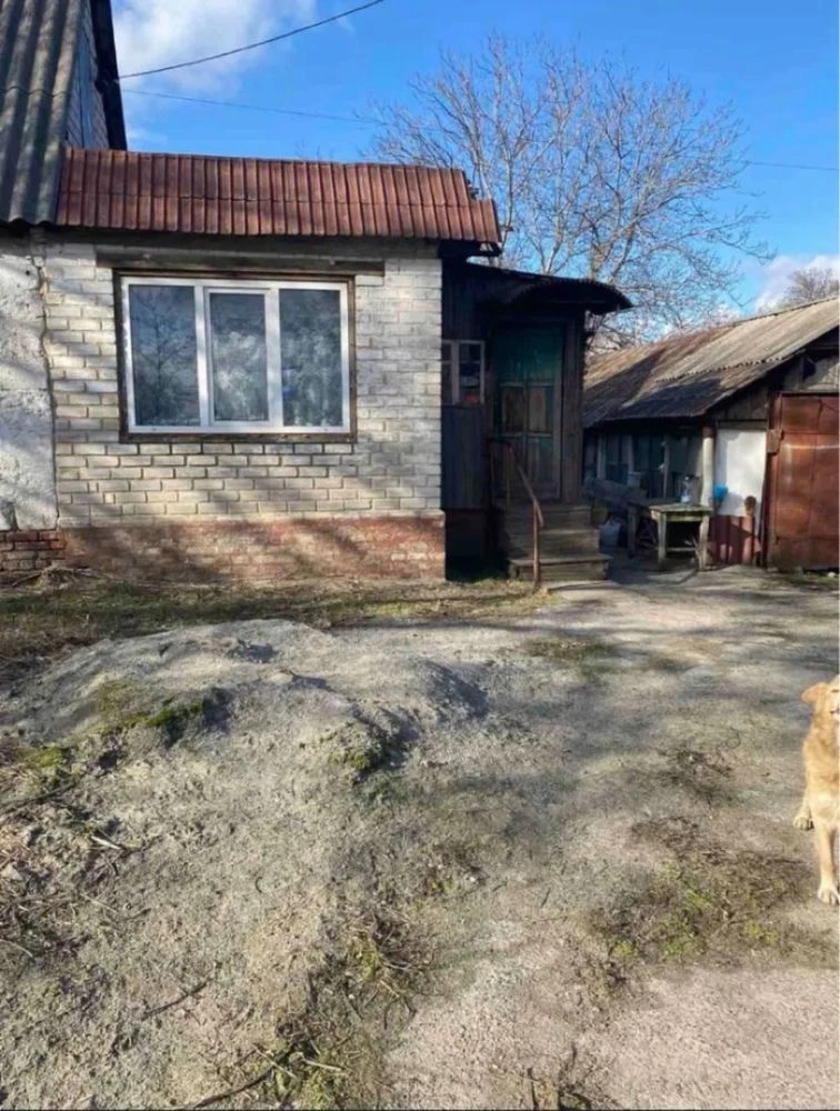 For Sale: Modern House