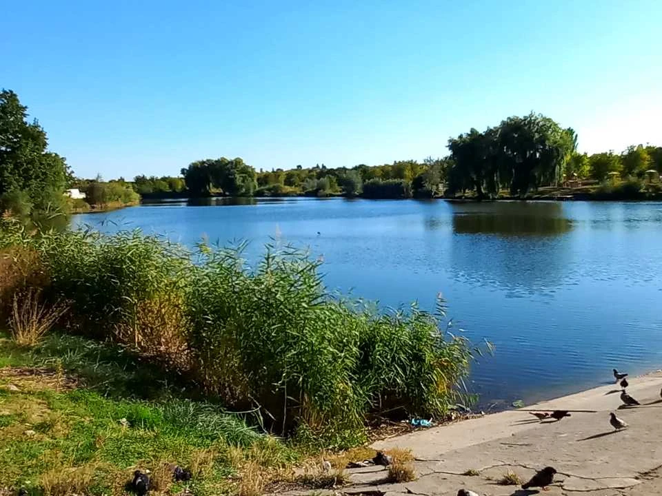Квартира. Винница, улица Левка Лукьяненко