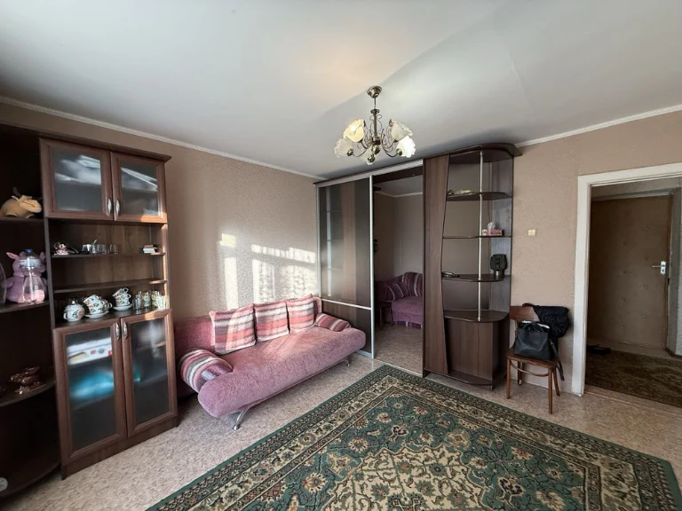 One-bedroom apartment on Dekabristiv/Zaschuka.2/9 brick.
