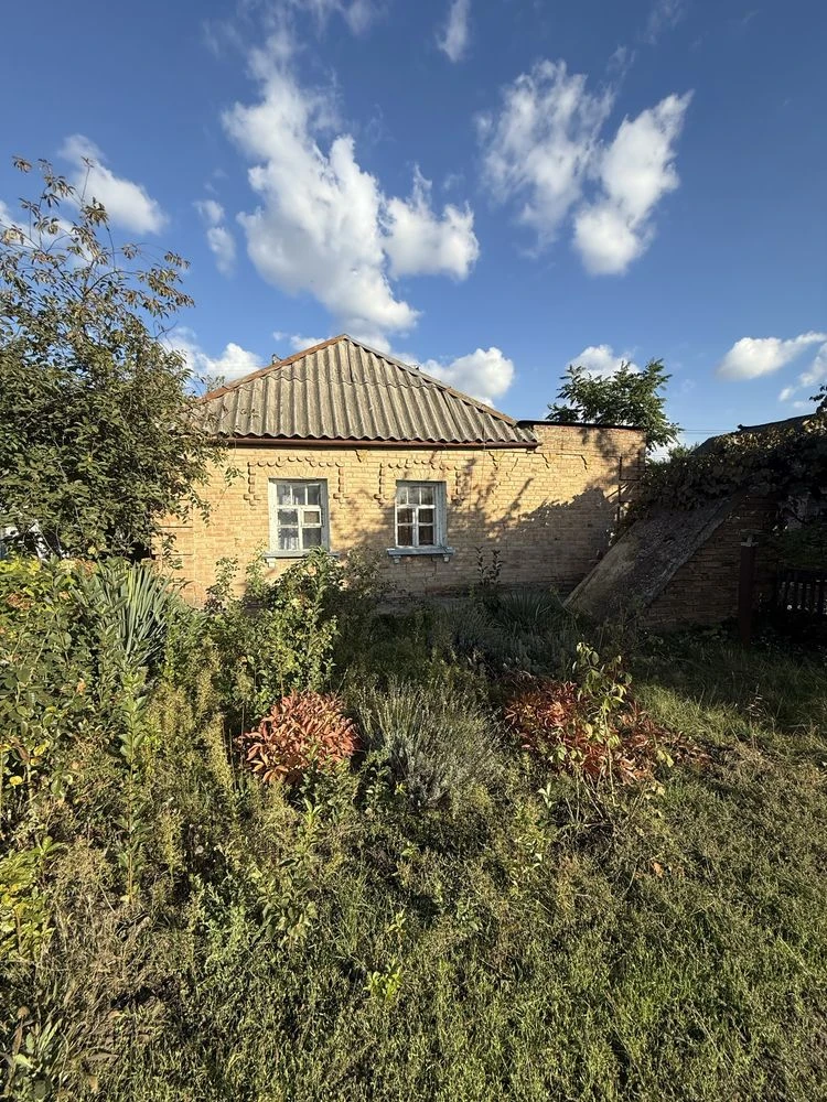 For Sale: Detached House in the area of Velika Balka!
