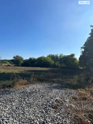 Sale of Land for Agricultural Purposes, Zamostyan