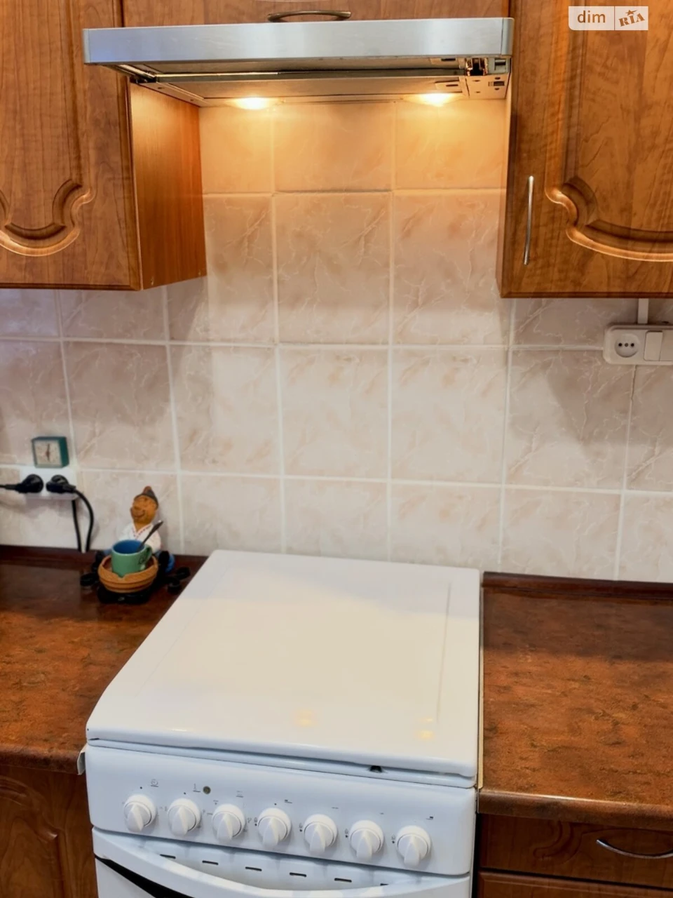 Long-Term Rental Apartment, Zamostyan