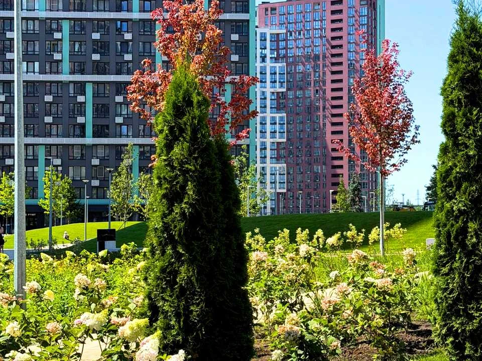 Квартира. Киев, улица Виктора Некрасова