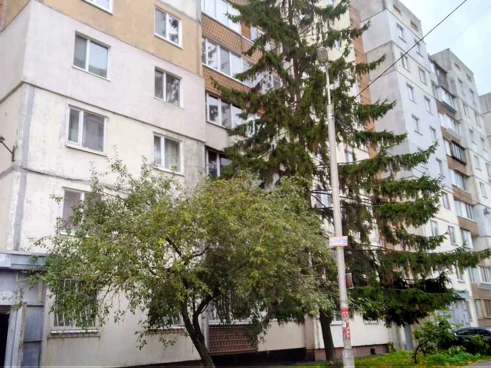 Apartment. Kyiv, European Union Avenue