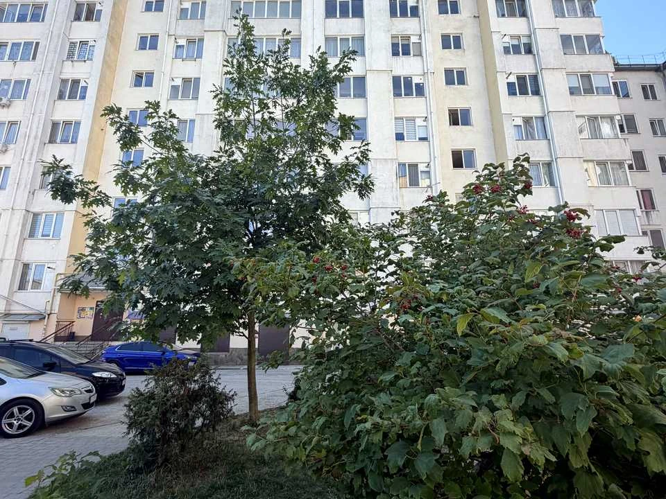 Apartment. Ivano-Frankivsk, Hnata Khotkevycha St., 44g k