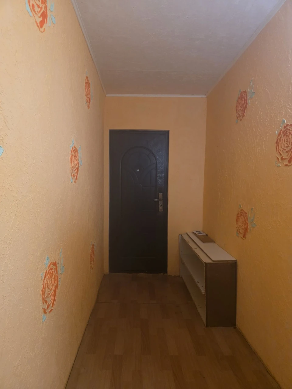 I am selling a one-bedroom apartment on Kolodyzna Street, residential area
