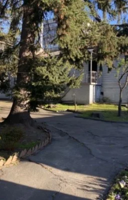 Ваша мрія !!Старовинна садиба  в Центрі  міста з великою діл