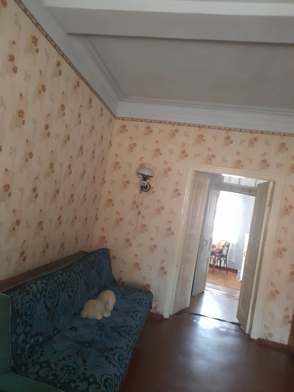 Ваша мрія !!Старовинна садиба  в Центрі  міста з великою діл