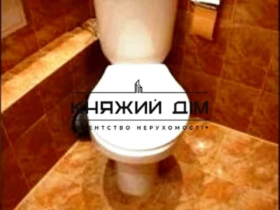 Apartment. Kyiv, Zolotoustyevska st.