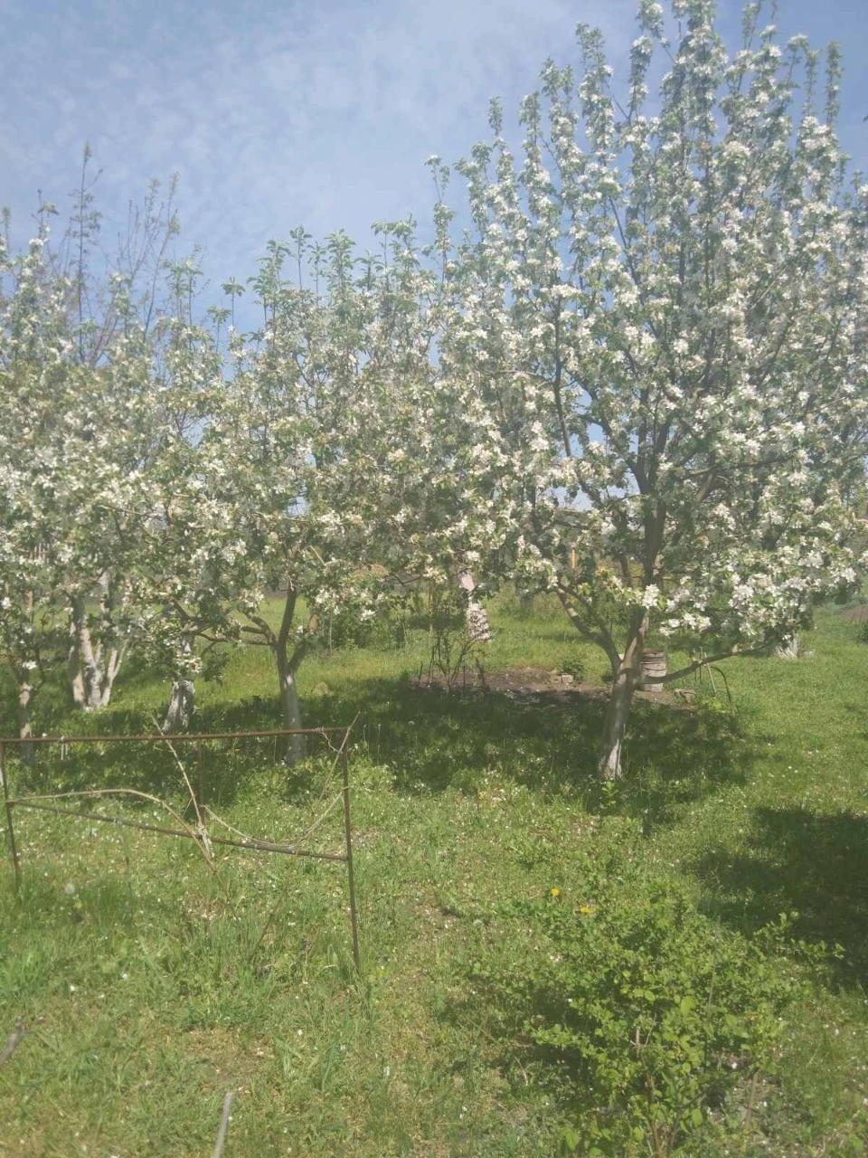 Продам дом левый берег дом купить