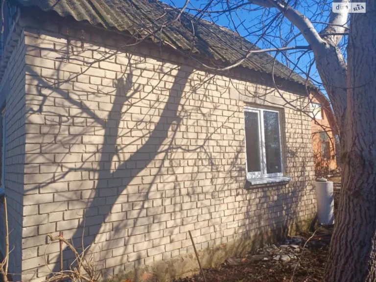 For Sale: Single House in Odinkivka