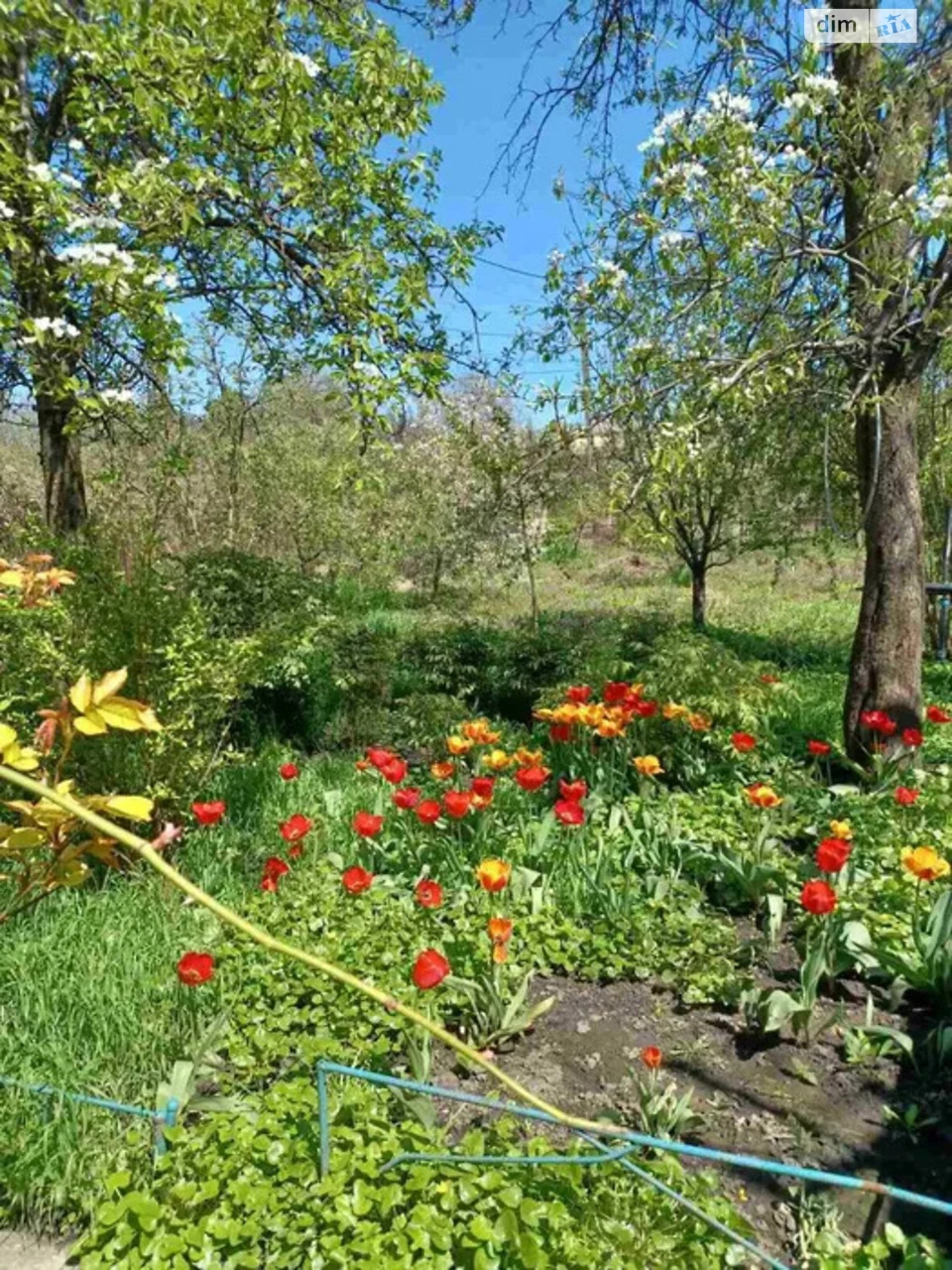 For Sale: Single House in Odinkivka