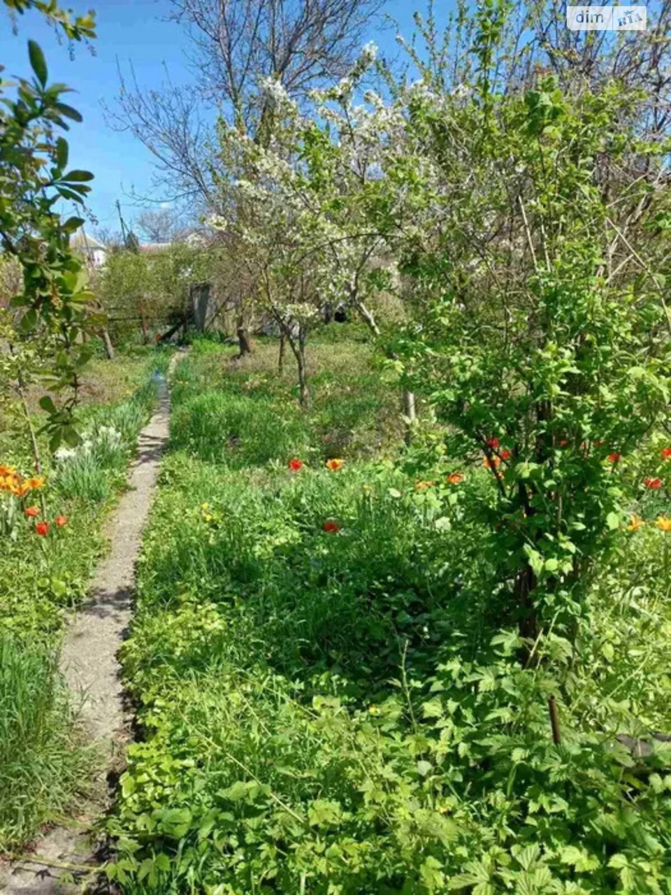 For Sale: Single House in Odinkivka
