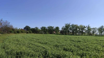 Urgent! 1.44 hectare Facade Plot - Sixth Element Airports