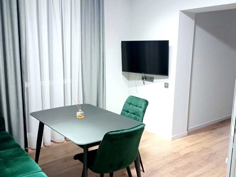 Apartment. Kharkiv, Professorskaya St.