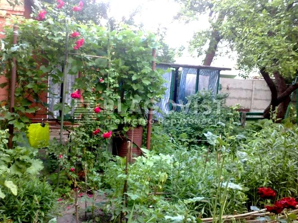 Ділянка. Київ, Синьоозерна вул.