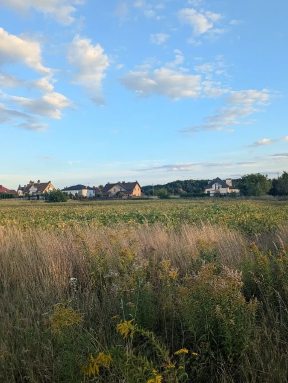 Land plot in Sukhovoly near Lviv (the best investment)
