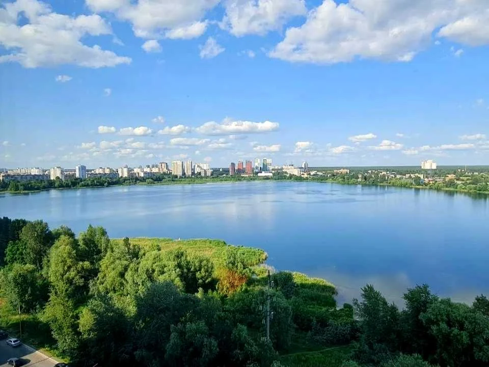 Apartment. Reвуцького Street, Kyiv