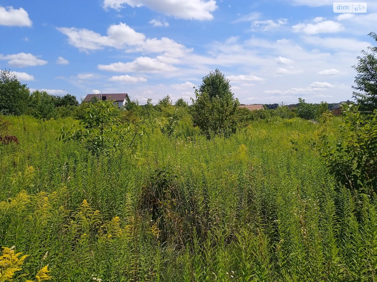 Продаж Ділянка під житлову забудову Тяжилів