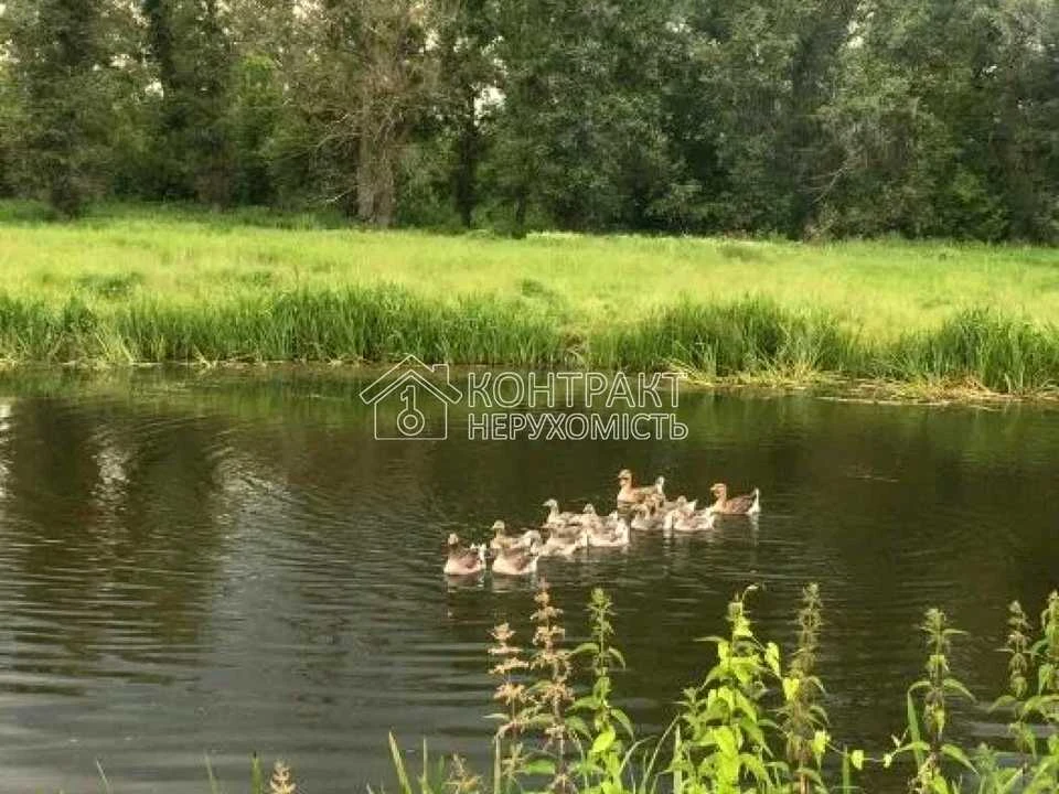Будинок. Харків, Сотенний в'їзд