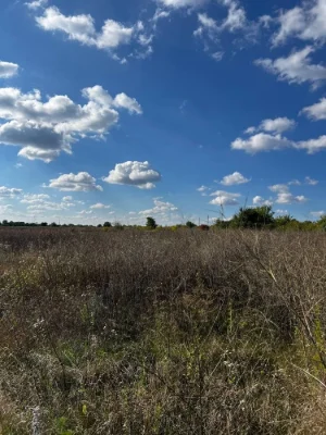 Land plot Agranik