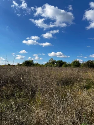 Land plot Agranik