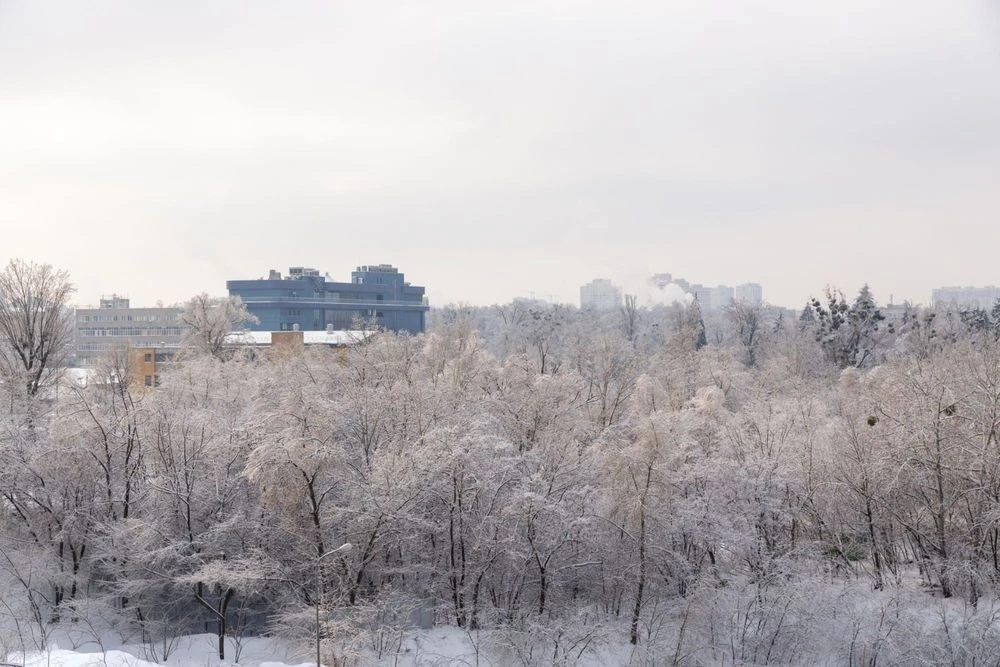 Sale of 3-room apartment 110 m², residential complex Herzen Park
