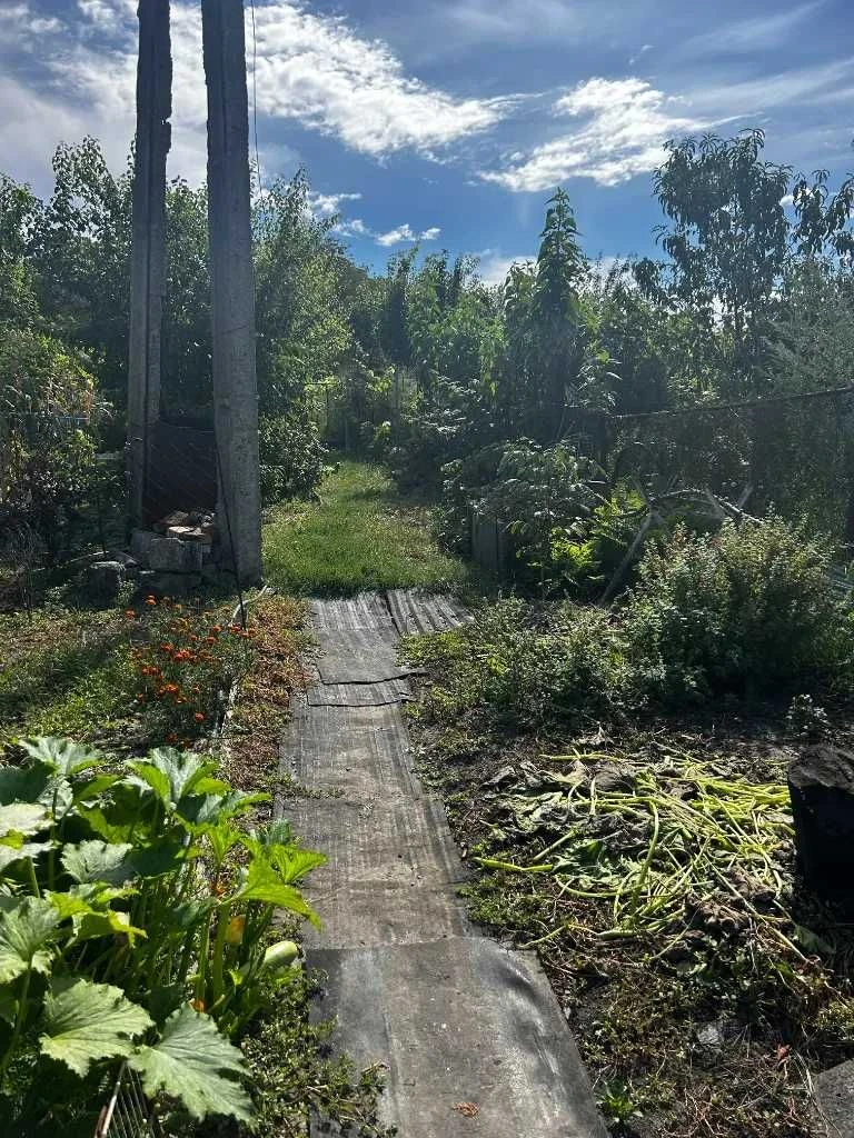 For Life and Farming: Sale of House in Taromское