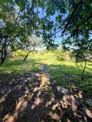 For Sale. House. Berezanovka