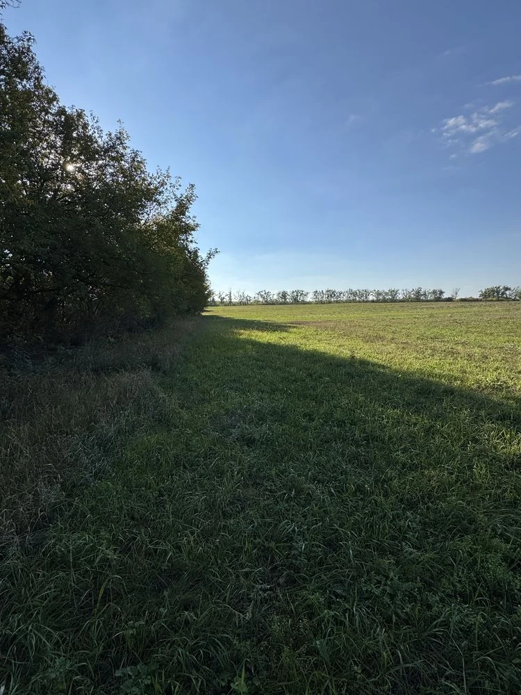 Продажа участка 2 гектара, улица Грунтова