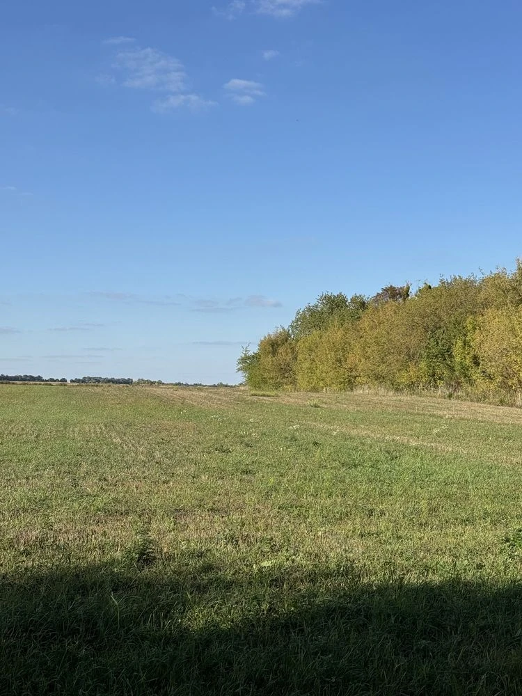 Продажа участка 2 гектара, улица Грунтова