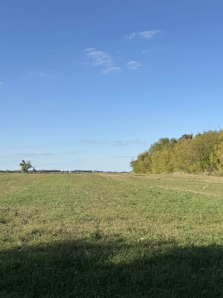 Продажа участка 2 гектара, улица Грунтова