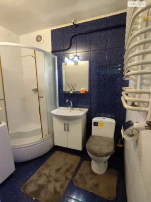 Long-Term Rental Apartment in Bodnaryyka