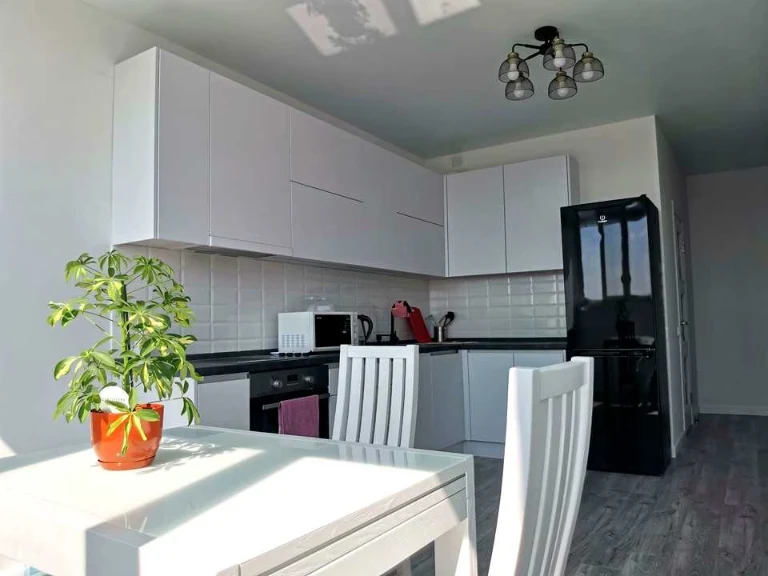Apartment. Kyiv, Vasyl Franka Street