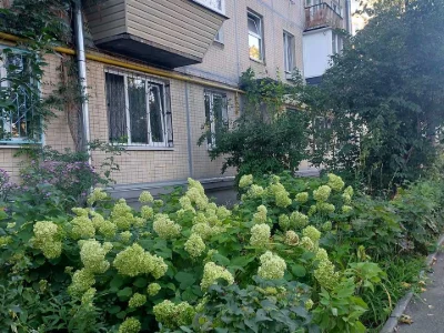 Apartment. Kyiv, Orikhovatska St.