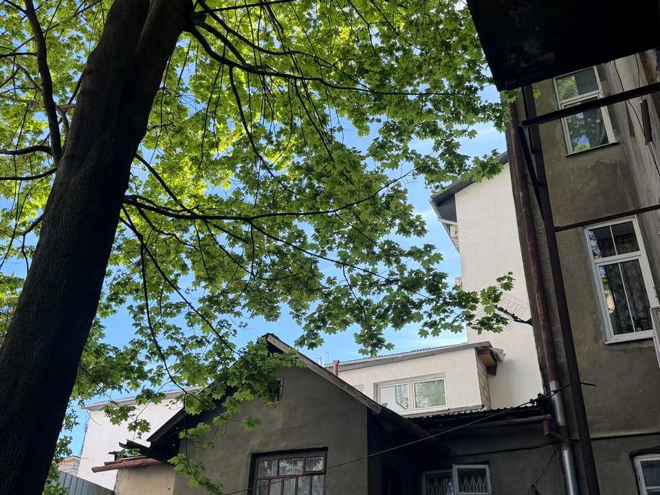 Квартира. Львів, вулиця Шпитальна