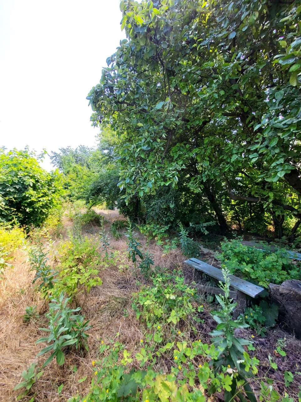 For Sale! Plot of land on St. Novogorodska (Michael Zhuk)
