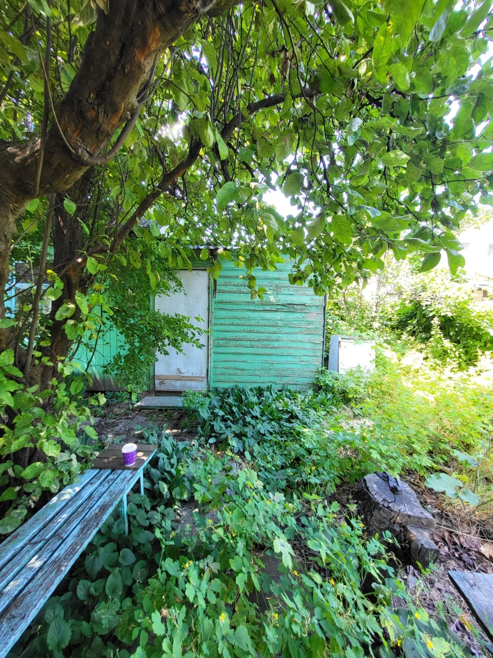 For Sale! Plot of land on St. Novogorodska (Michael Zhuk)