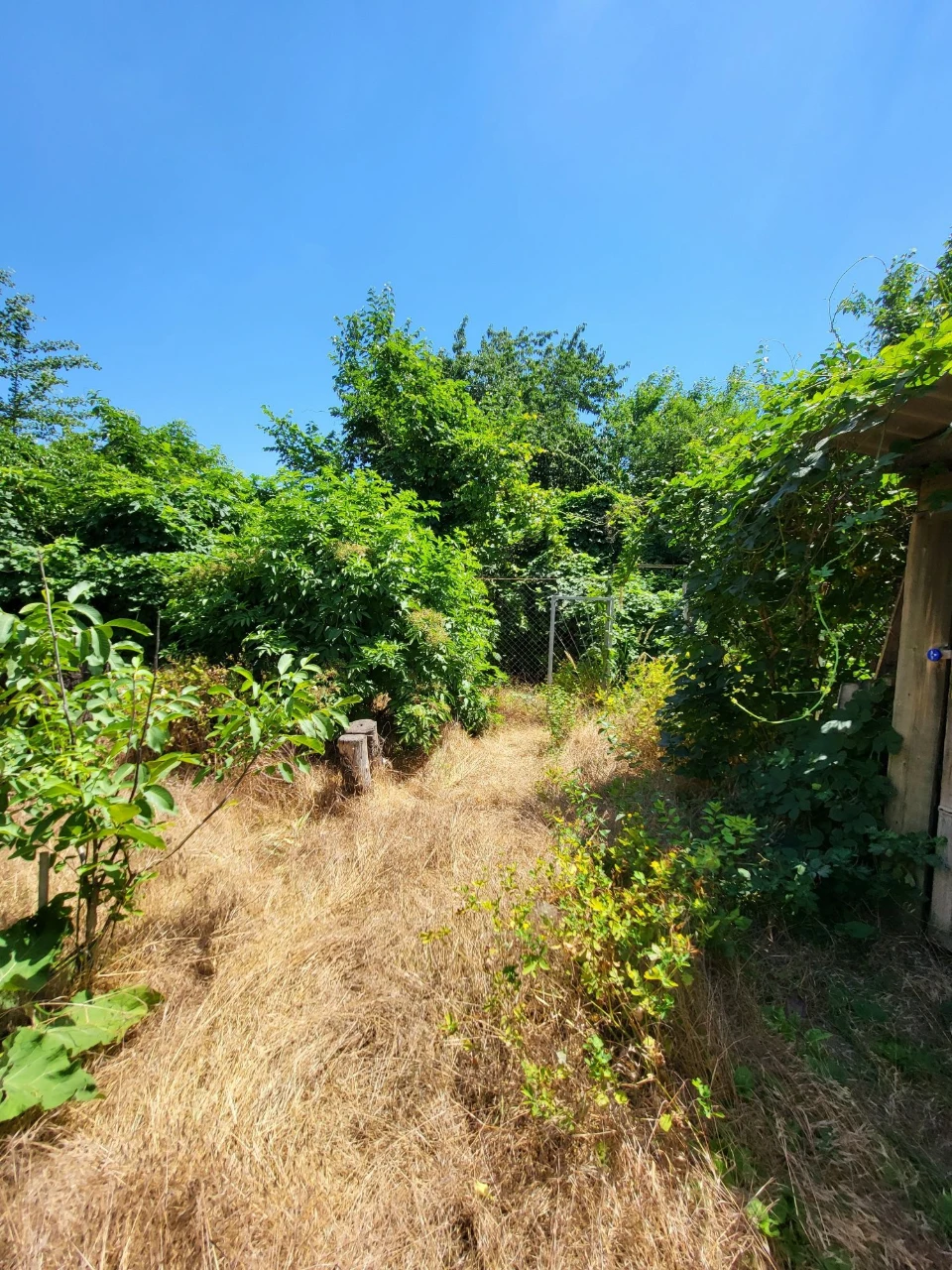 For Sale! Plot of land on St. Novogorodska (Michael Zhuk)