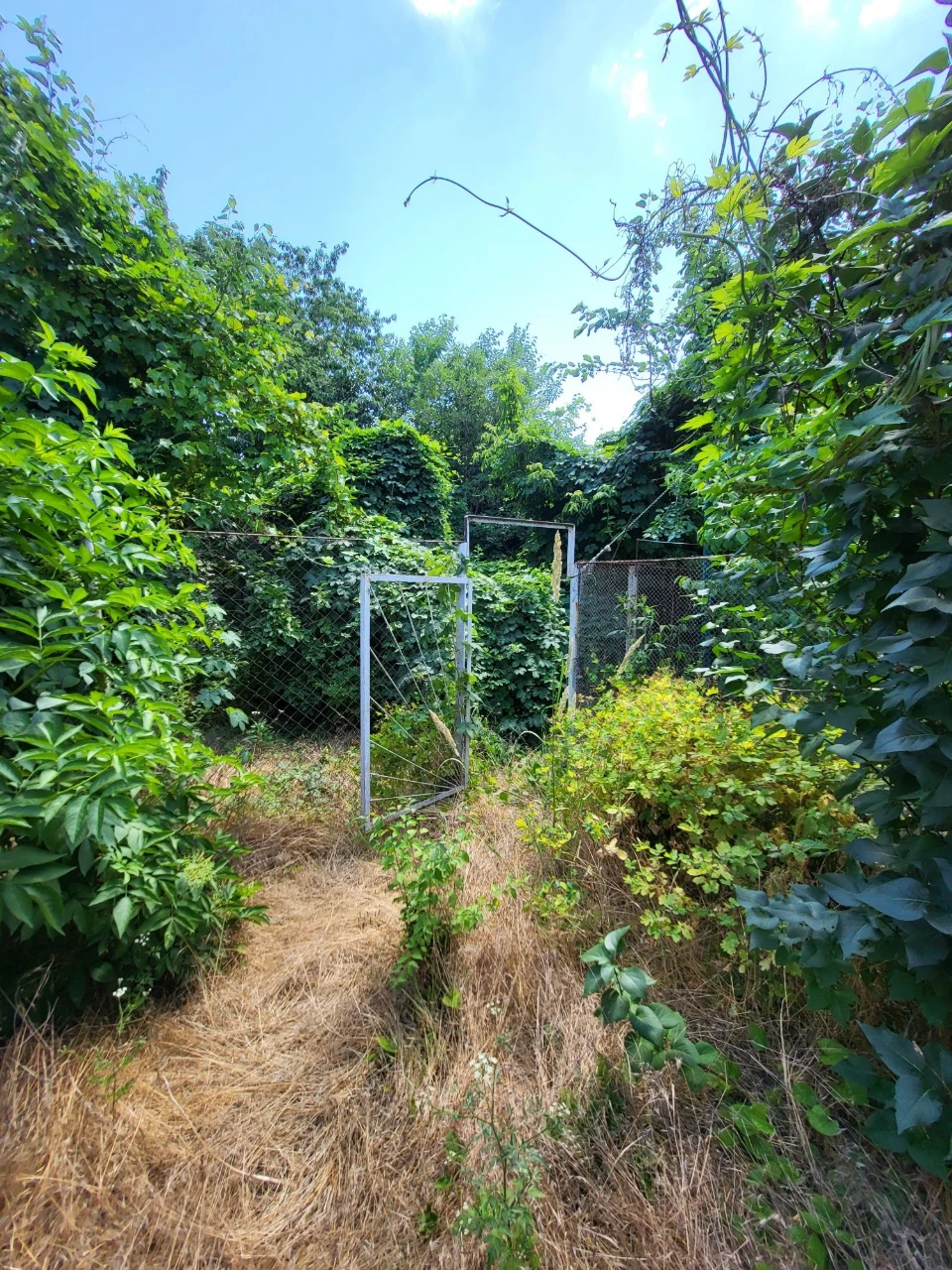 For Sale! Plot of land on St. Novogorodska (Michael Zhuk)