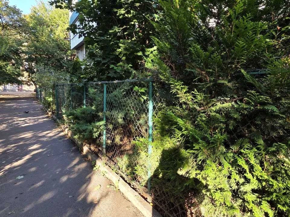 Квартира. Одеса, Люстдорфська дорога вул.
