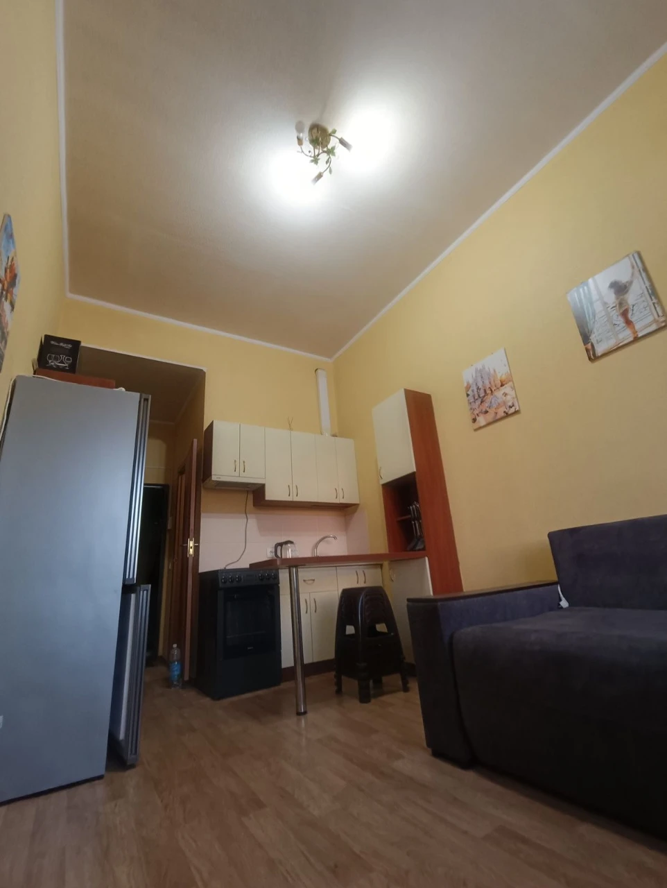 Продам 1 кімнатну студію, Панасівка