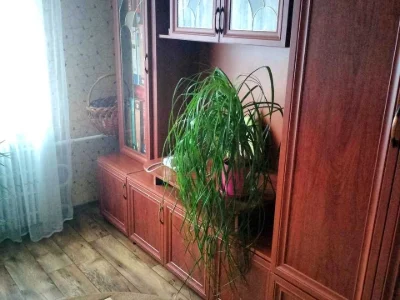 Квартира. Запоріжжя, Сергія Синенка вул.
