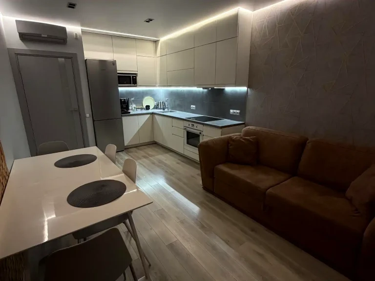 Rent of a 1-room apartment 48 m² 15/22 floor