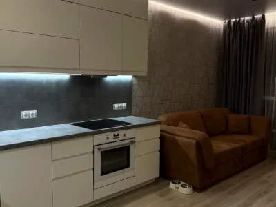 Rent of a 1-room apartment 48 m² 15/22 floor