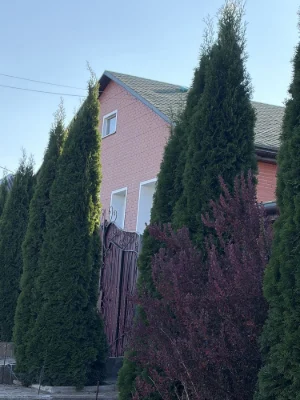 Sale of a house in a cozy suburb of Sumy