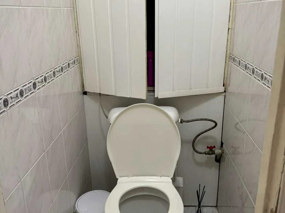 Apartment. Vyacheslav Chornyvolo St., Kyiv