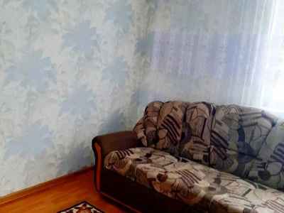 Apartment. Kyiv, Olevska St.
