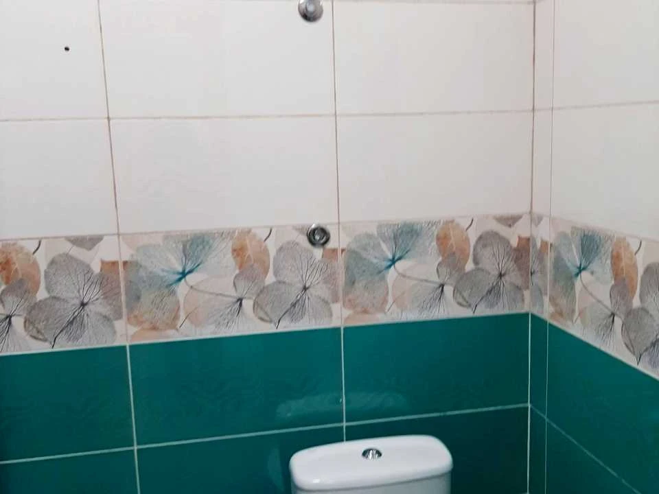 Apartment. Kyiv, Olevska St.